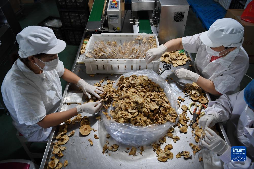 mg网上游戏